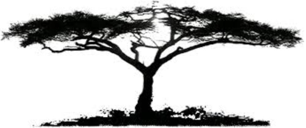 CIM ACACIAS